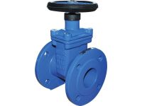 20E900 Засувка (високоміцний чавун) з прогумованим клином DN100 Brandoni S.p.A. (20E900I100V16EEA)